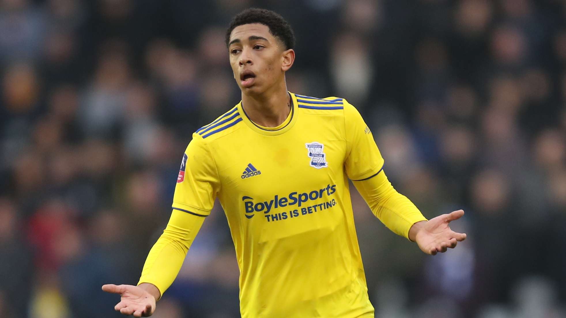 暗中观察 暗中观察